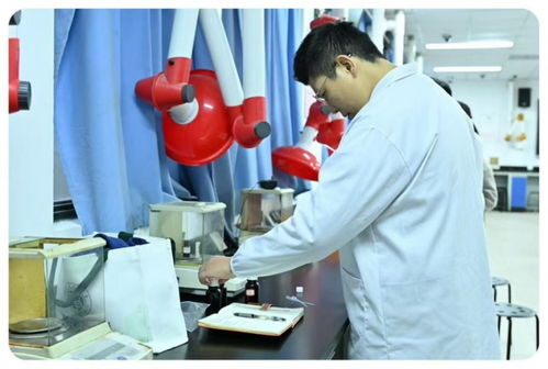 從公共管理到藝術品牌 一位學位生的技能重塑之路